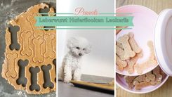 Haferflocken Leberwurst Hundeplätzchen in Knochenform